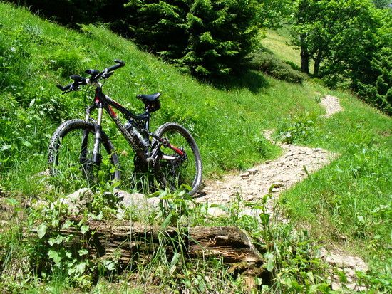 Trail vom Grünten