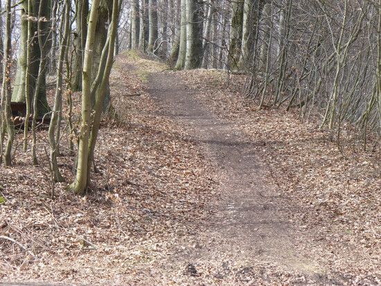 Kammweg Hildesheimer Wald