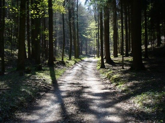 Teutoburger Wald