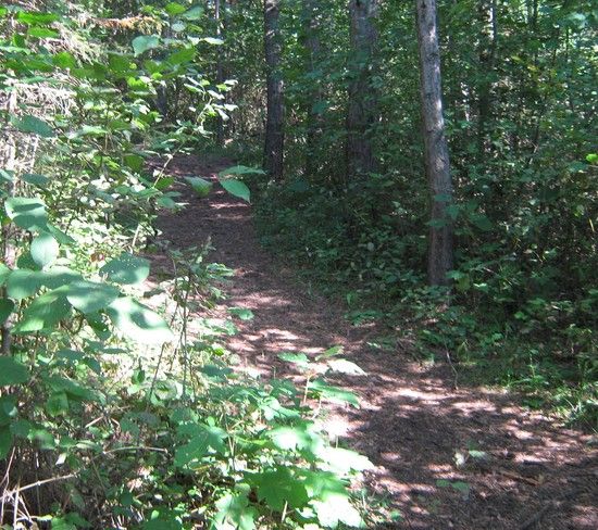 1.ZumSingerBergET6
