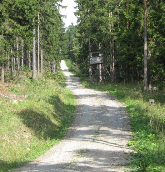 10.FahrstraeET6