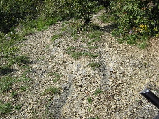 11.TrailvomCarolinenblickET6