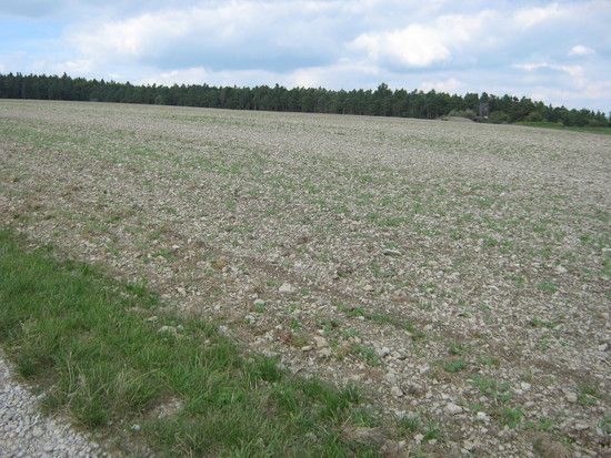 13.SteinackerET6