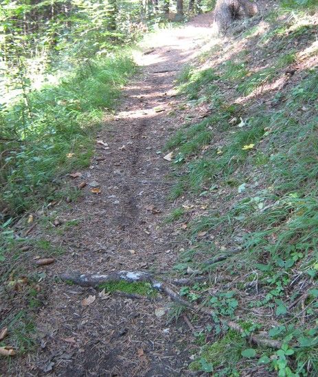 2.BremsspurenET6