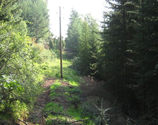 2.DasisteinWeg