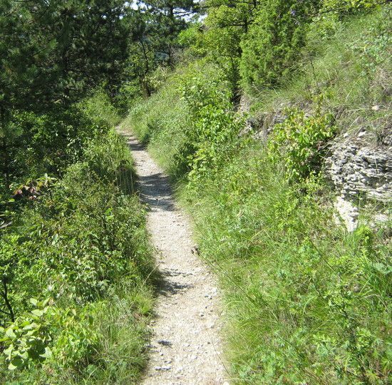 3.TrailET4