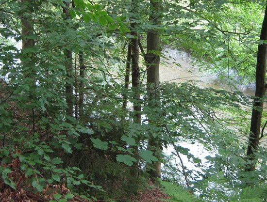 4.BlickaufdieWeieElsterEt2