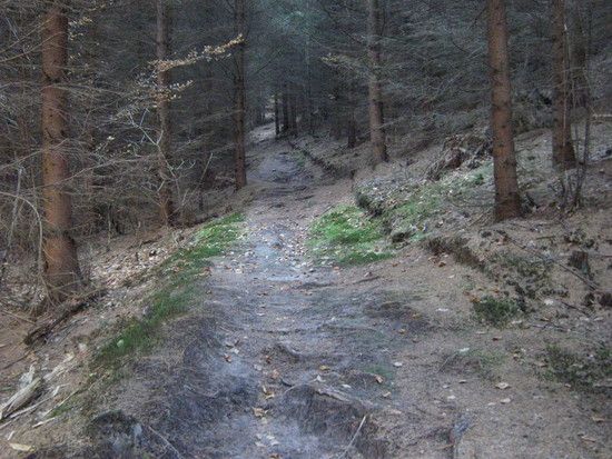4.IndenZeitzgrund