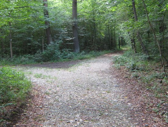 4.WogehtslangET4