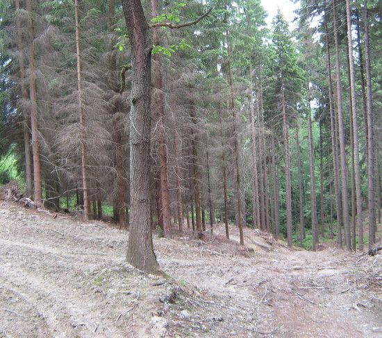 7.WolangjetztEt2