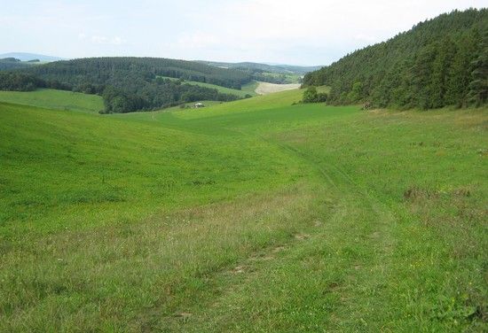 8.ThlendorferAlmET5