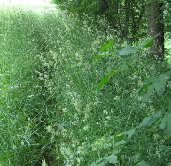 9.ThringenwegEt2