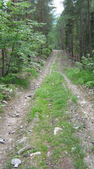AmSauberg