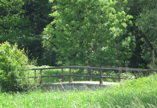 Brcke
