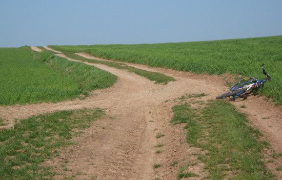 DieserWeg