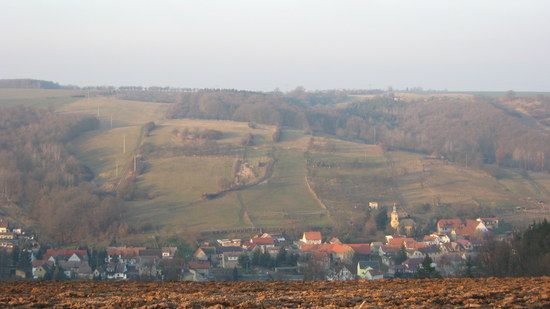 IMG 0073