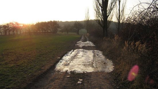 IMG 0079