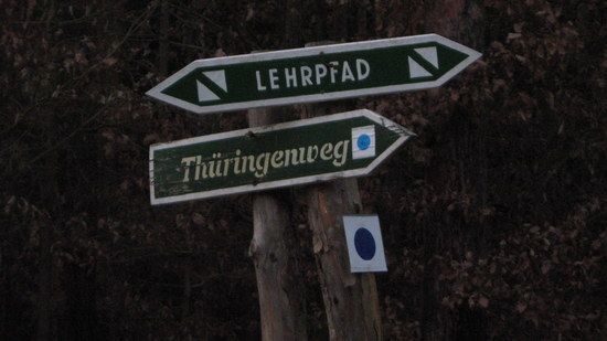 IMG 0081