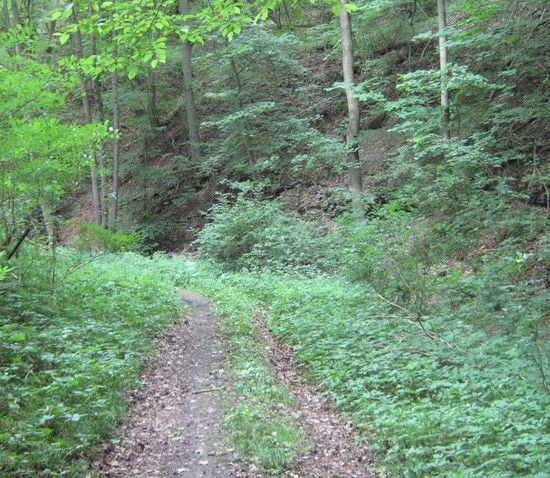 Mordtal