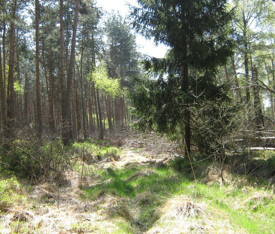 Nichtfahrbar