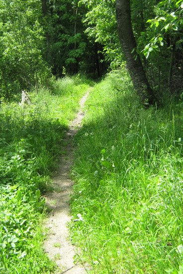 SeltenerTrail