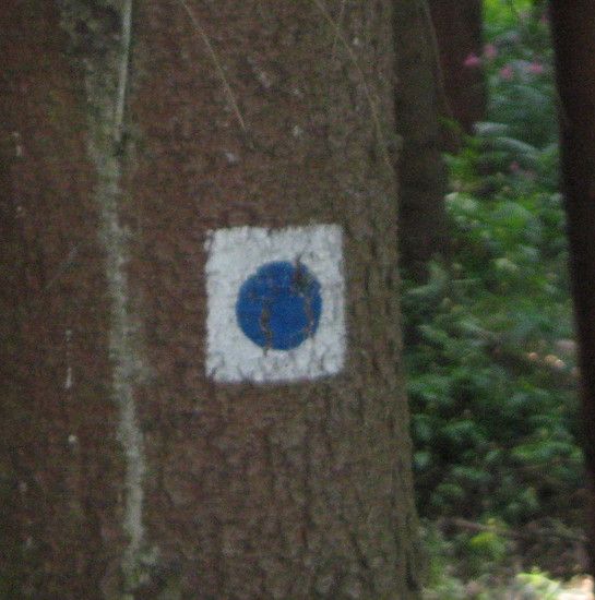 Thringenweg