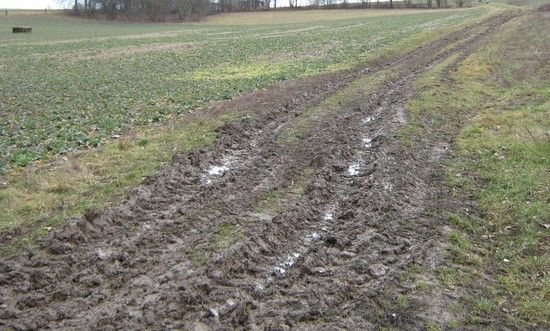 ThringenwegvorBadKstritz
