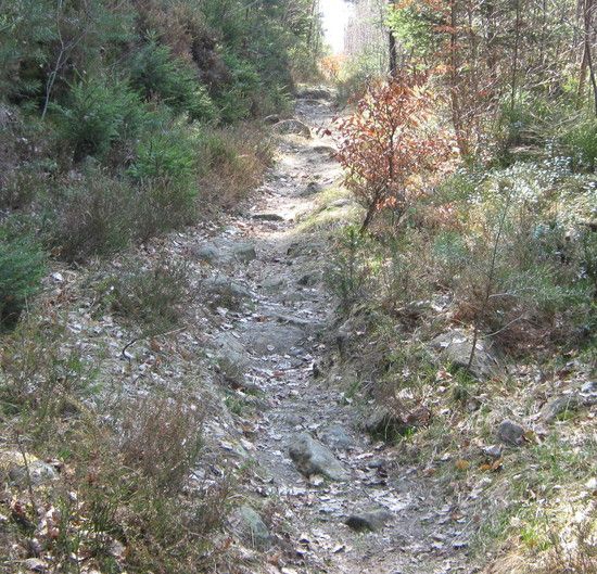 TrailinsTeufelstal2