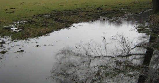 Wasser1