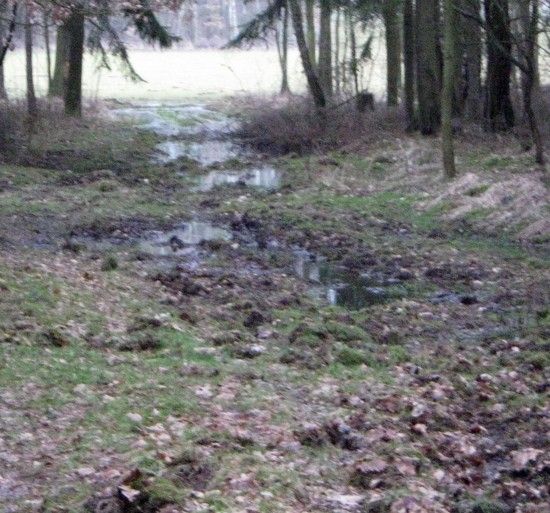 WasserSchlamm1