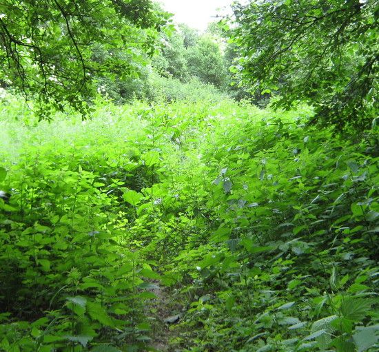 ZufahrtzumMordtal