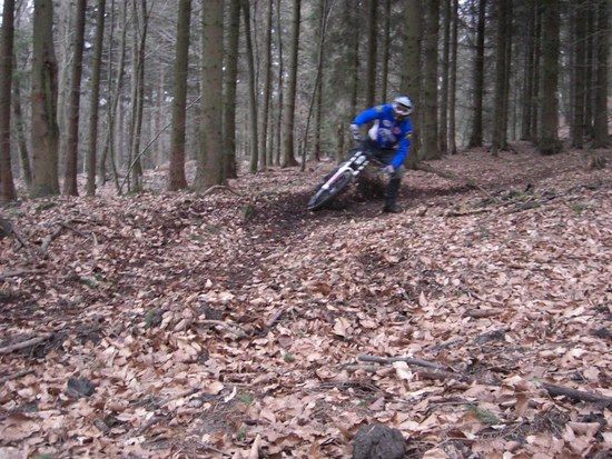 deister13
