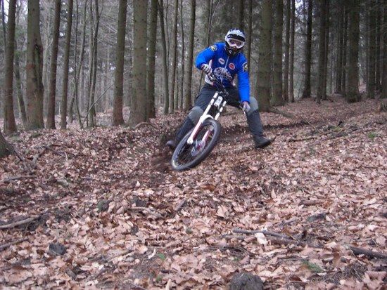 deister16