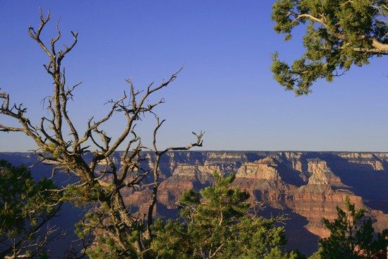 Grand Canyon