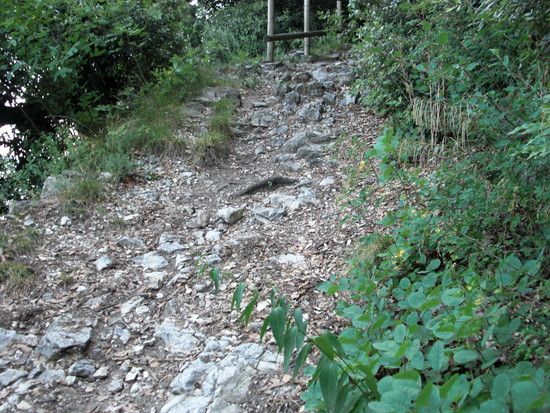 UrlaubGarda2009339