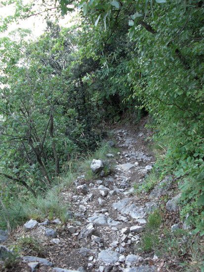 UrlaubGarda2009341