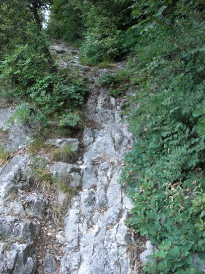 201 Pieve --&gt; Ex Porto