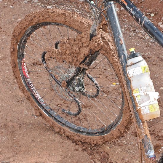 Mudcollectorsmall