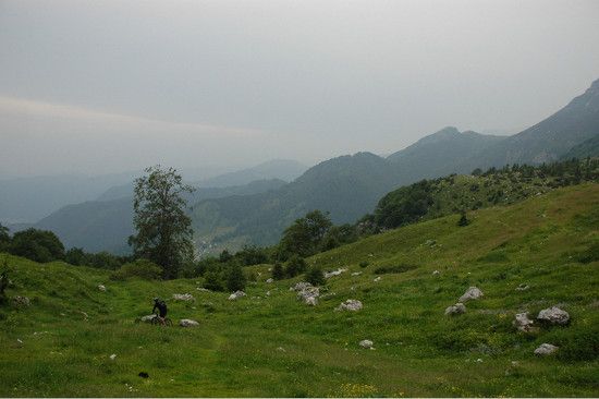 DSC 0195