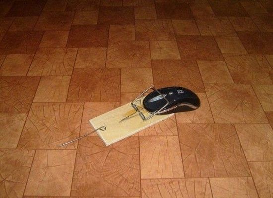 Maus