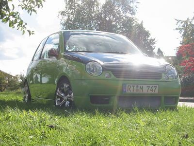 lupo
