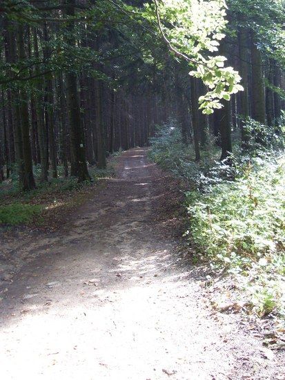 image018