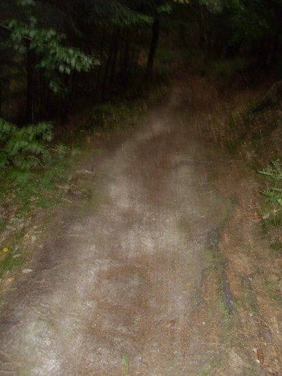 image019