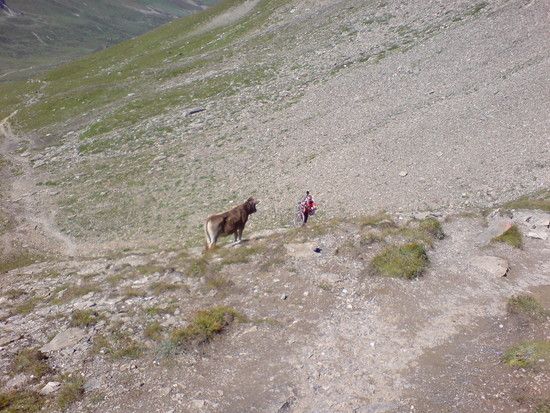 2008 08 18 14 33