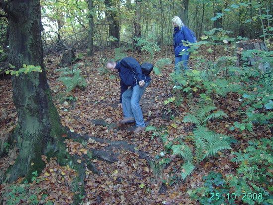 SpookyWanderung031