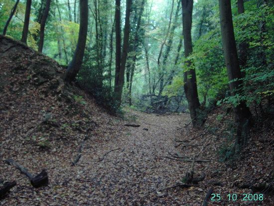 SpookyWanderung036