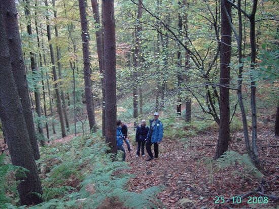 SpookyWanderung043