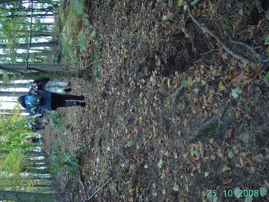 SpookyWanderung044