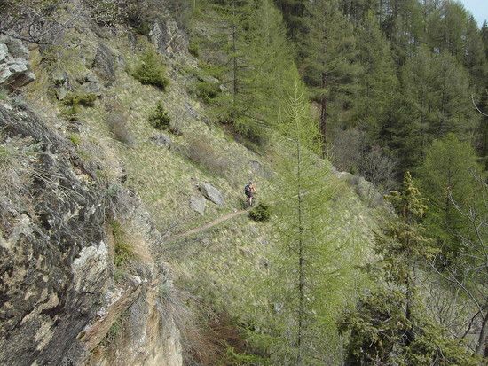 Vinschgau019