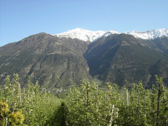 Vinschgau030